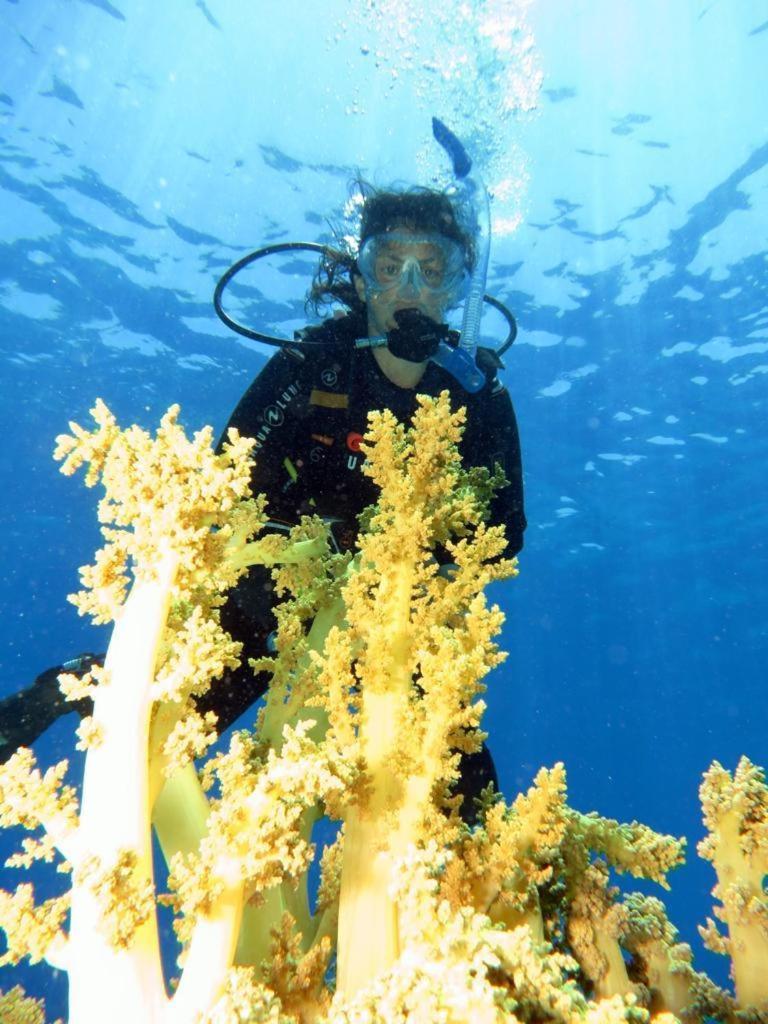 Aida Hotel Sharm El Sheikh ภายนอก รูปภาพ