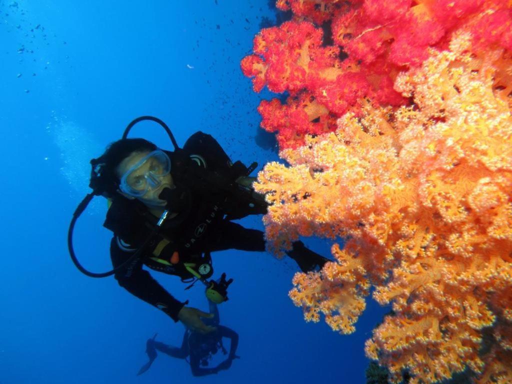 Aida Hotel Sharm El Sheikh ภายนอก รูปภาพ