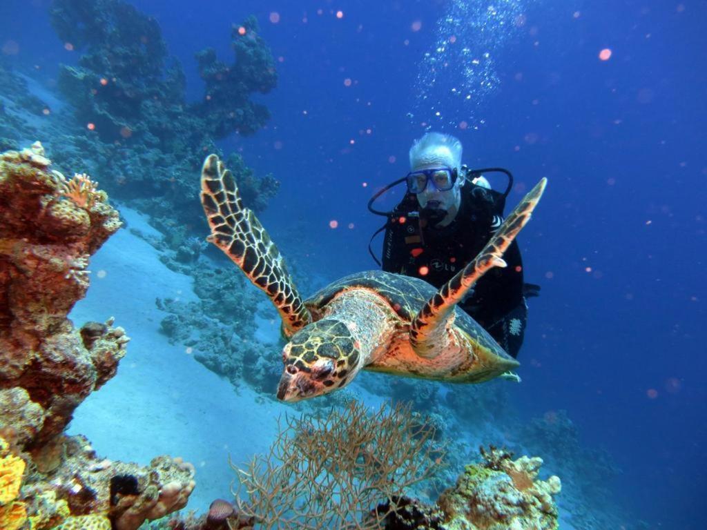 Aida Hotel Sharm El Sheikh ภายนอก รูปภาพ