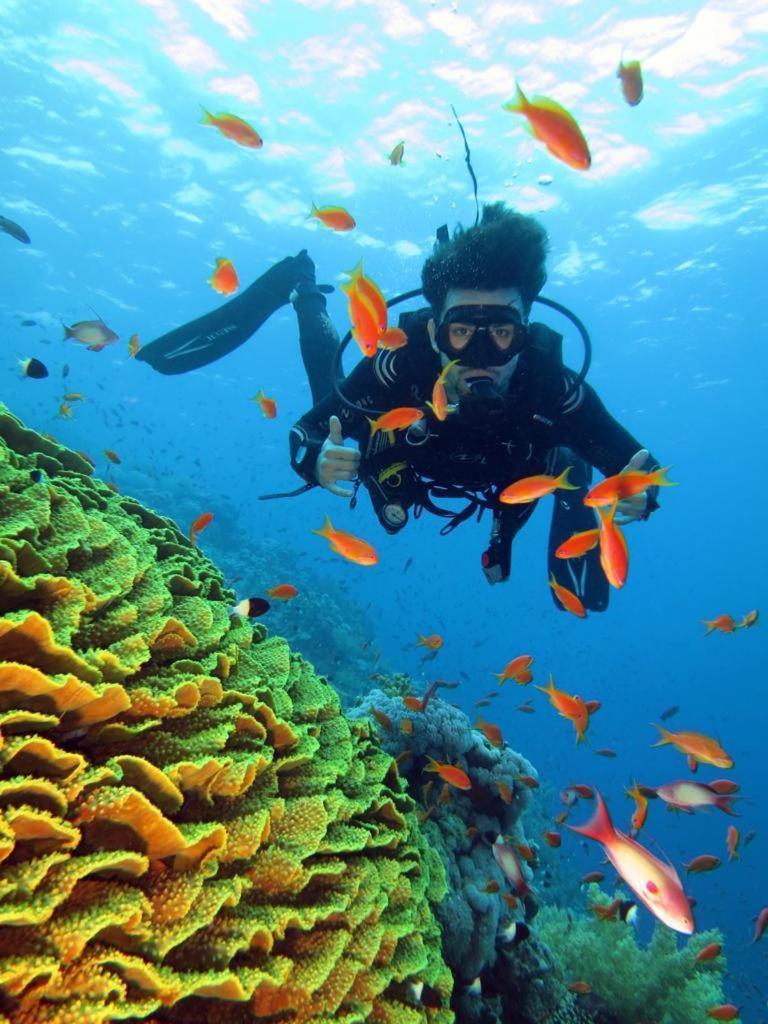 Aida Hotel Sharm El Sheikh ภายนอก รูปภาพ